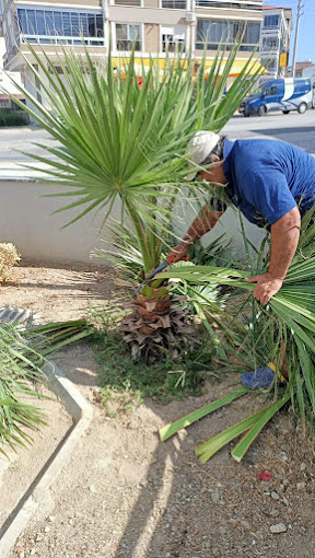 Eko Apartman Temizliği ve Peyzaj Düzenleme