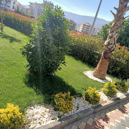 Site Peyzaj Düzenleme