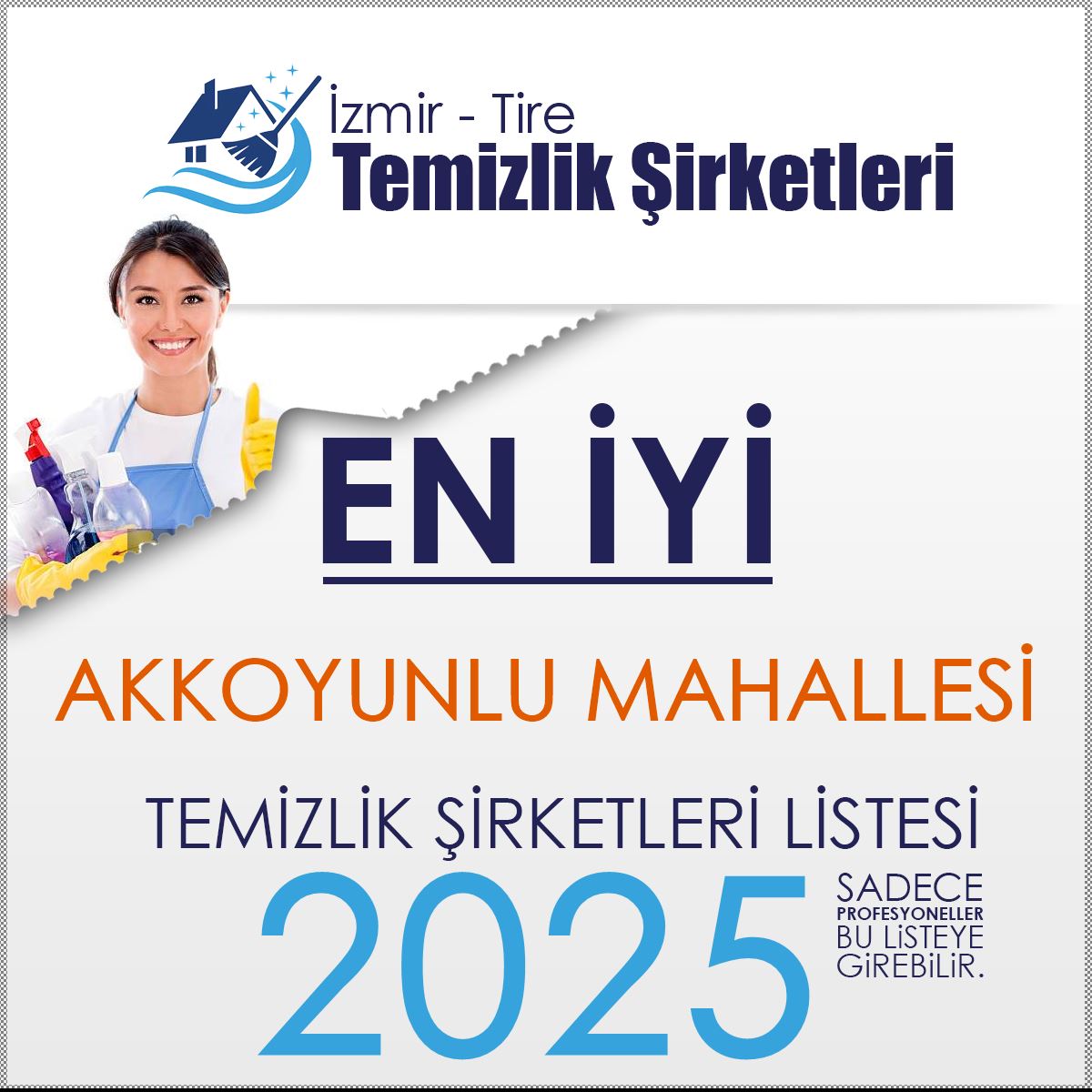 Akkoyunlu Mahallesi Temizlik Şirketleri